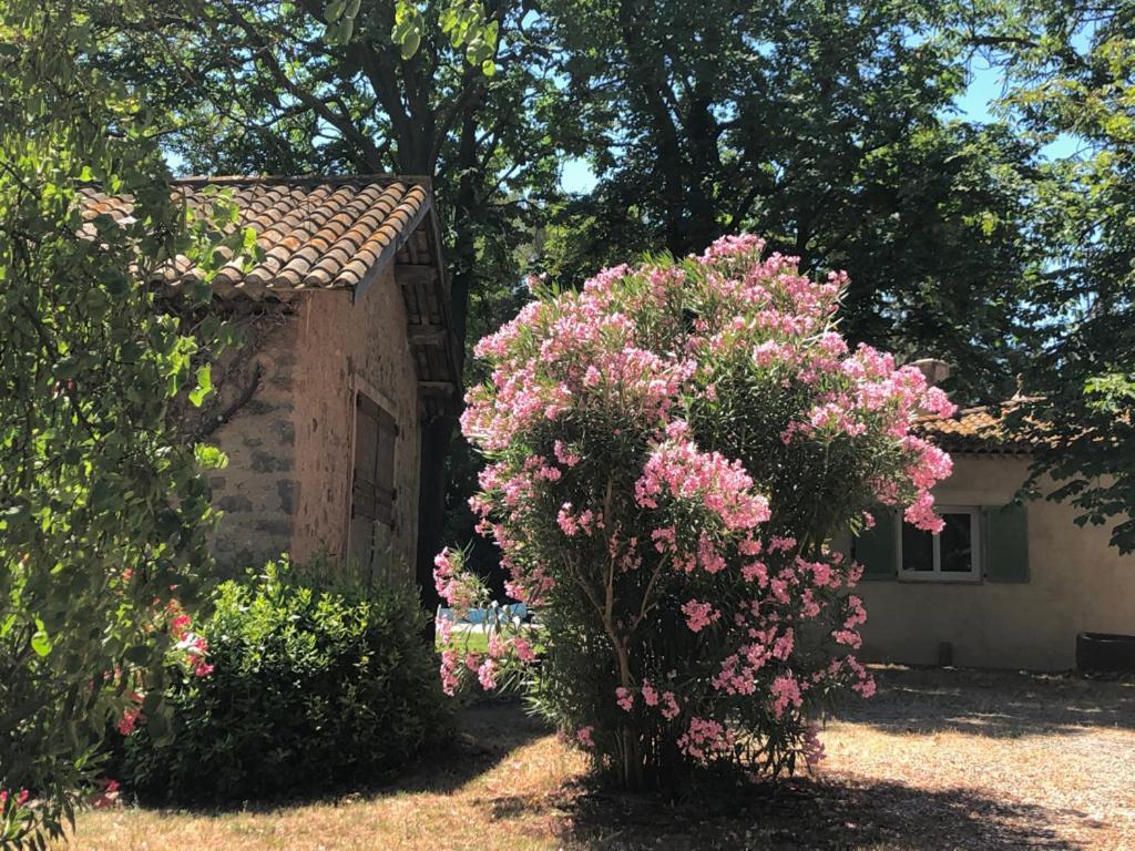 Le Nid Des Corbieres Bed and Breakfast Bizanet Eksteriør billede