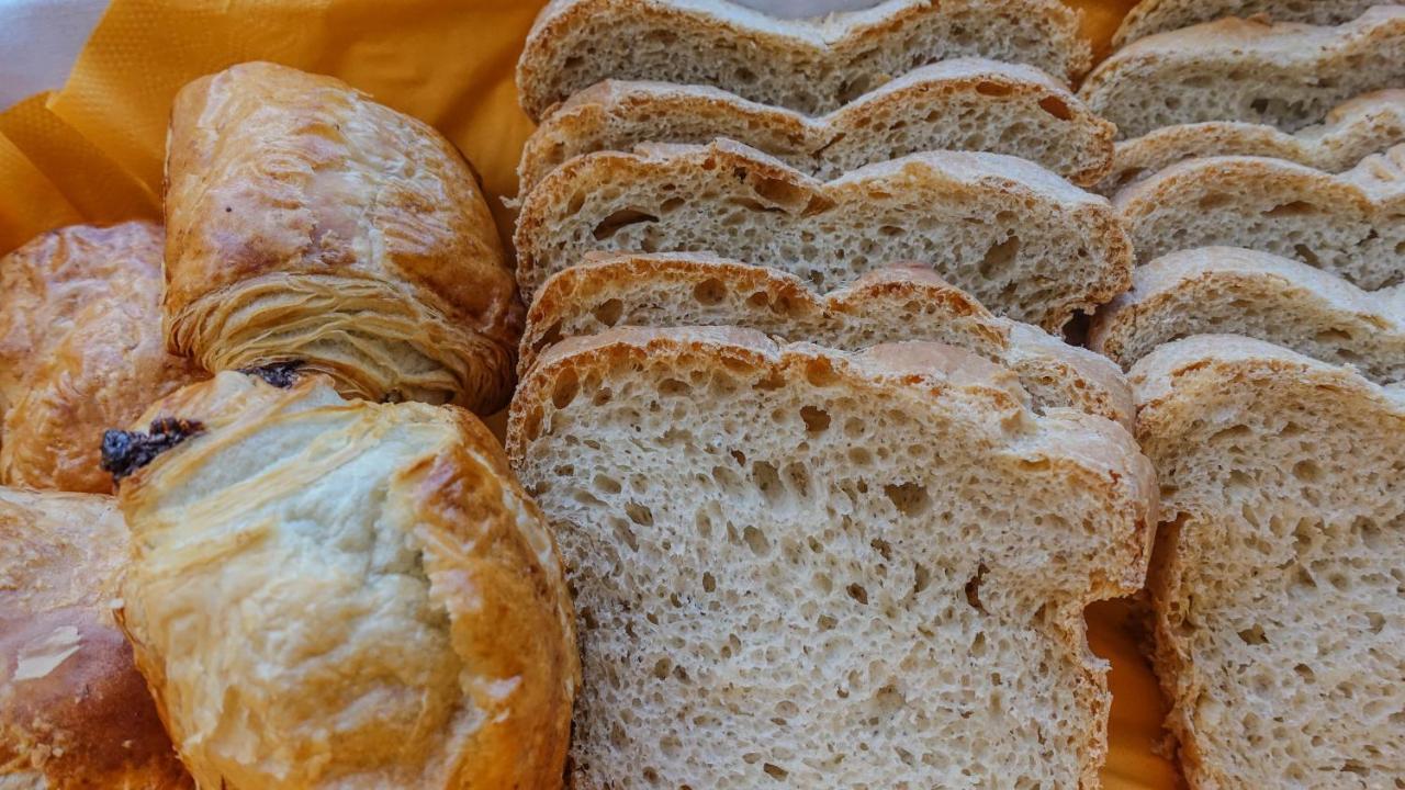 Le Nid Des Corbieres Bed and Breakfast Bizanet Eksteriør billede